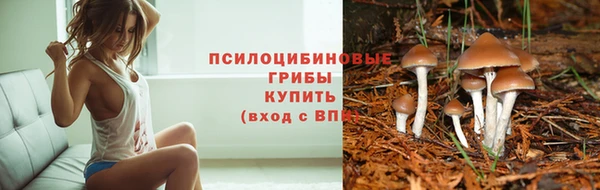 бутират Апатиты