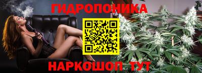каннабис Кингисепп