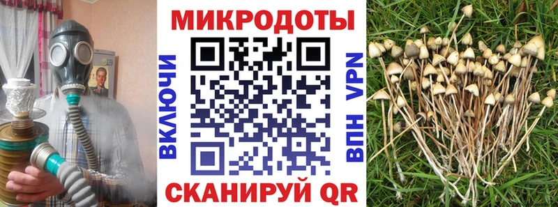 mega вход  дарнет шоп  Геленджик  Псилоцибиновые грибы мицелий 