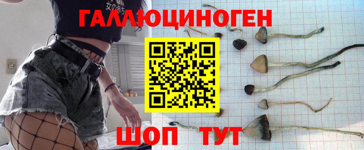 Геленджик  Галлюциногенные грибы прущие грибы  Псилоцибиновые грибы Magic Shrooms  Вход с VPN 